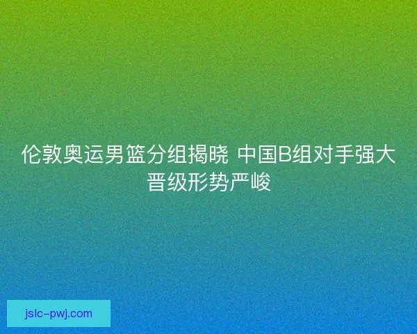 伦敦奥运男篮分组揭晓 中国B组对手强大晋级形势严峻