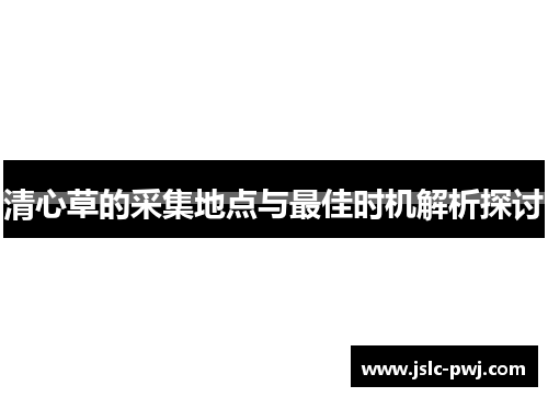 清心草的采集地点与最佳时机解析探讨